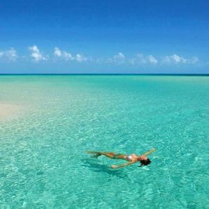 Meet your Posher, Alisson